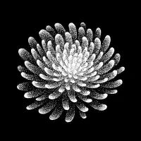 Monochrome Dotwork Bloom - design