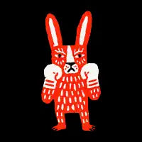 Rabbit and Lion Boxers - design
