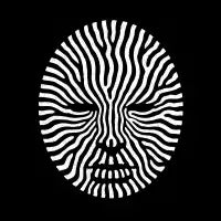 Zebra Line Face - design