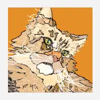 Maine Cat T-Shirt - design