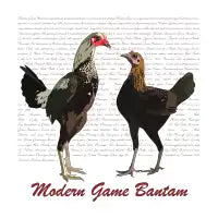 Modern Game Bantams - design