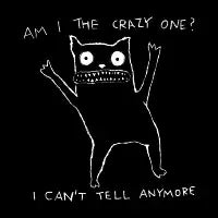 am I the crazy one - design