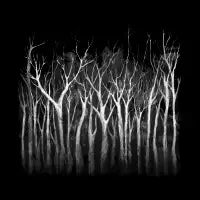 Among Trees - design