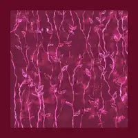 Autumn Vine Cut Sew - design