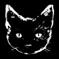 Black Cat - design