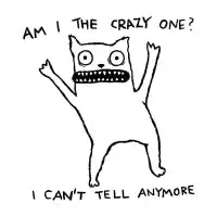 crazy one - design