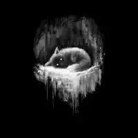 Fox Wish - design