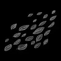 Gone - design