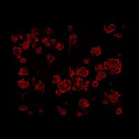 Dark Red - design