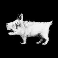 Weird Dog - design