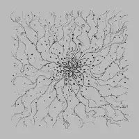 Wild Flower - design