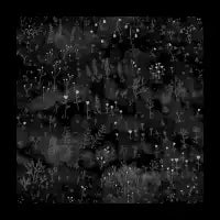 Wild Flowers At Night - design