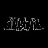 WILD - design