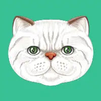 Persian Cat - design