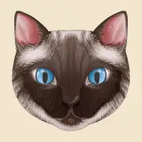 Siamese Cat - design