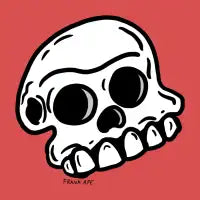 Skull - design
