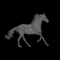 Silver - design