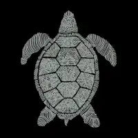 Turtle T-Shirt - design