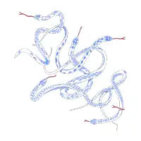 Snake Pit - design