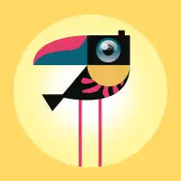 Bird Cam - design