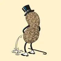 Peenut - design