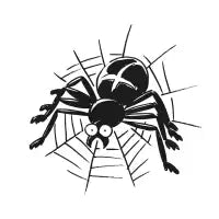 Spider - design