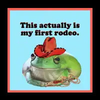 1st Rodeo - design