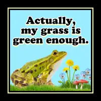 Actually my grass is green enough - design
