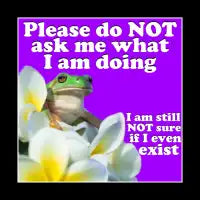 Do not ask me what I am doing - design