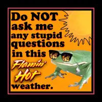Flamin hot - design