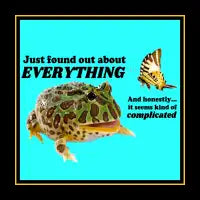 Just found out about EVERYTHING - design