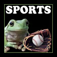 SPORTS baseball - design