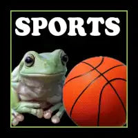 SPORTS - design