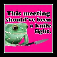 This meeting should have been a knife fight - design