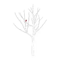 Cardinal's Perch - design