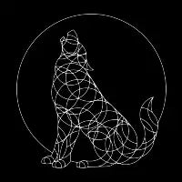 Geo Wolf - design