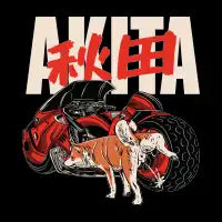 AKITA - design