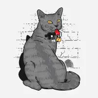 Caught Him - design