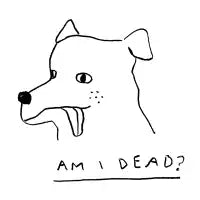 Am I Dead? - design