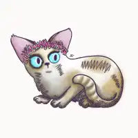 s-kitty - design