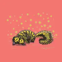tortoiseshell cat - design