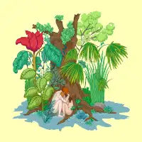Wild love - design