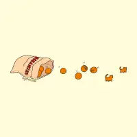Orange chaos - design