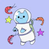To the Shrimpverse! - design