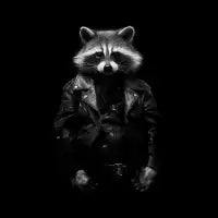 Punk Rock Raccoon T-Shirt - design