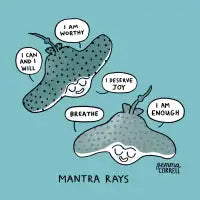 Mantra Rays - design