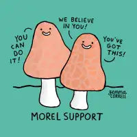 Morel - design