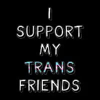 I Support My Trans Friends - design