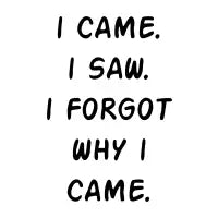 I CAME. I SAW. I FORGOT WHY I CAME. - design