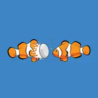 Clownfish - design